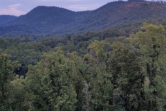 IMG_20190808_202624