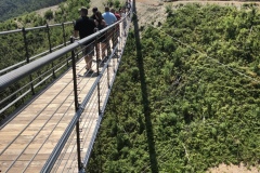 image00004 (2)