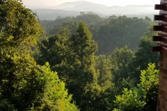 20190811_080854